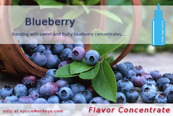 Blueberry FLAVOR